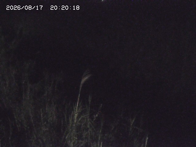 由良川４2026/08/17 20:30