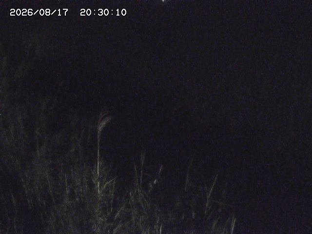 由良川４2026/08/17 20:30