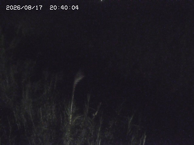 由良川４2026/08/17 20:30