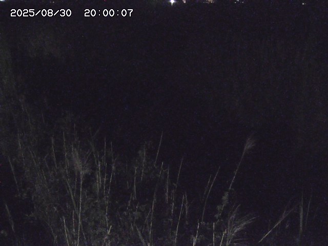 由良川４2025/08/31 09:10