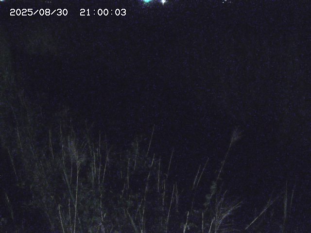 由良川４2025/08/31 09:10