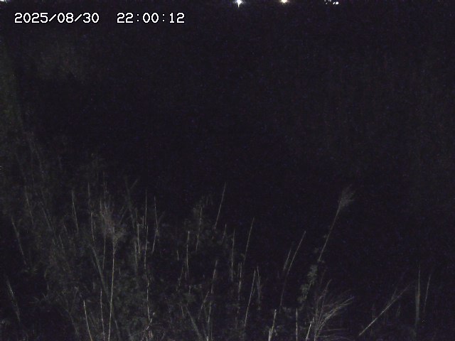 由良川４2025/08/31 09:10