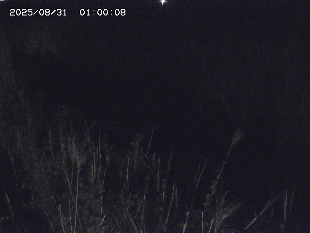 由良川４2025/08/31 09:10