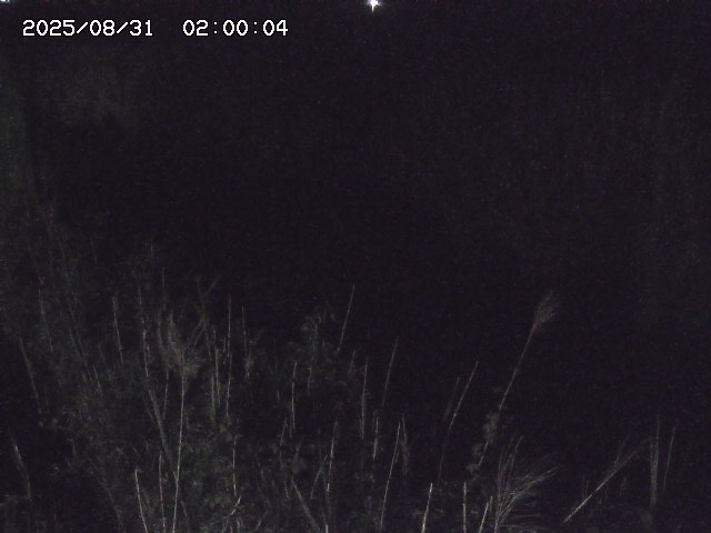 由良川４2025/08/31 09:10