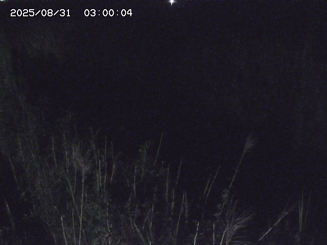 由良川４2025/08/31 09:10