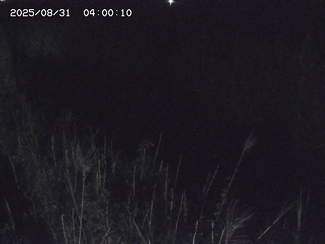 由良川４2025/08/31 09:10