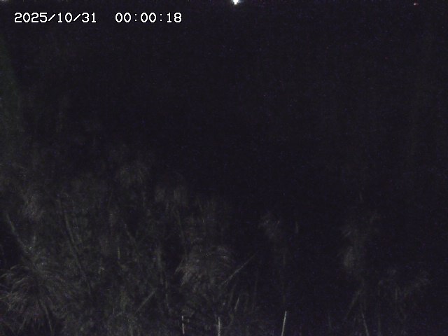 由良川42025/10/31 23:40