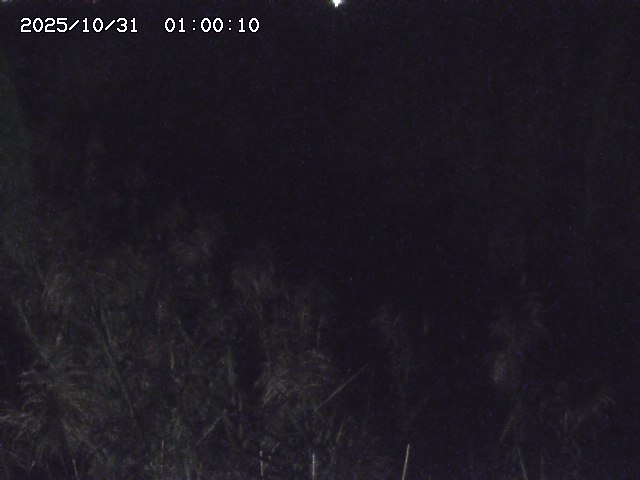 由良川42025/10/31 23:40