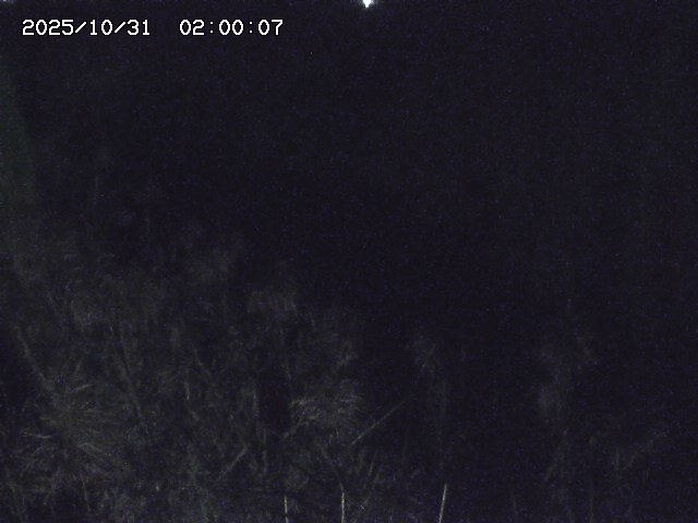 由良川42025/10/31 23:40