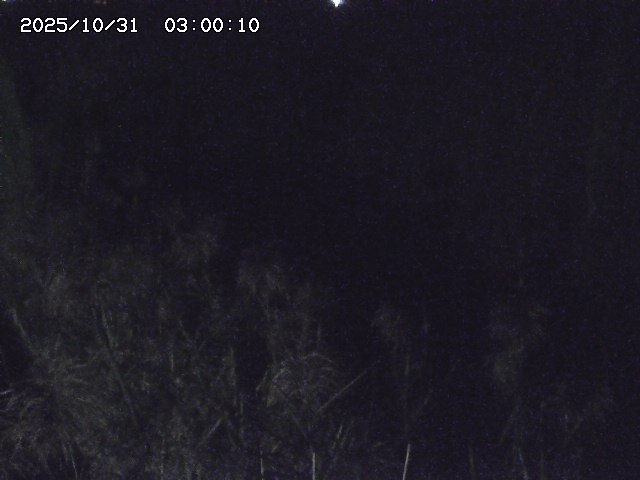 由良川42025/10/31 23:40