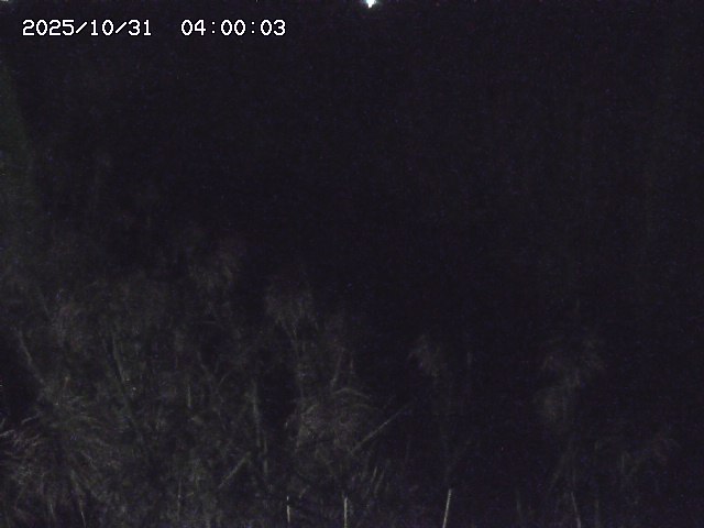 由良川42025/10/31 23:40