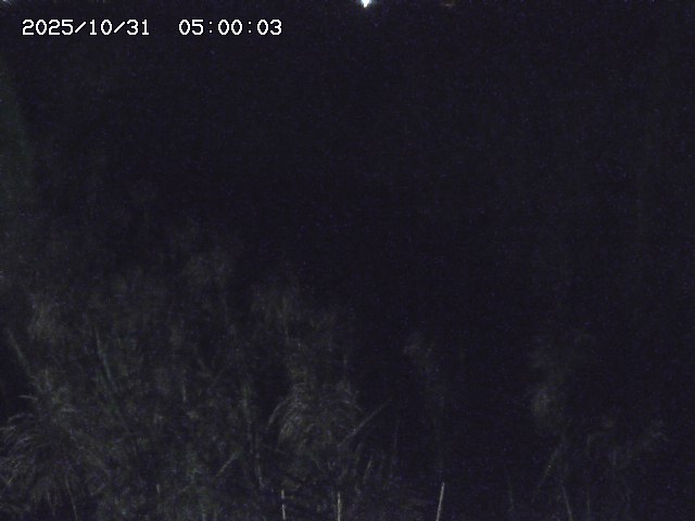 由良川42025/10/31 23:40