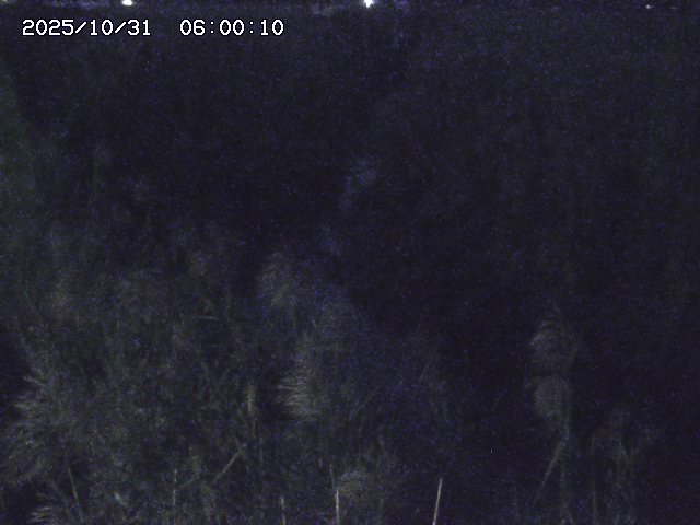 由良川42025/10/31 23:40