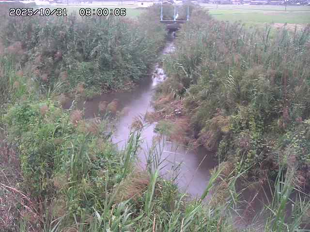 由良川42025/10/31 23:40