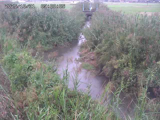 由良川42025/10/31 23:40