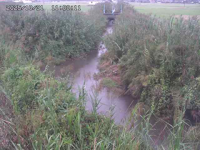 由良川42025/10/31 23:40