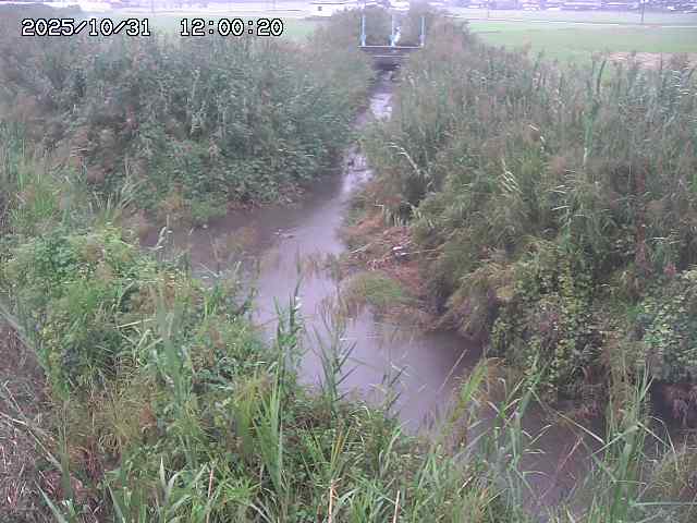 由良川42025/10/31 23:40