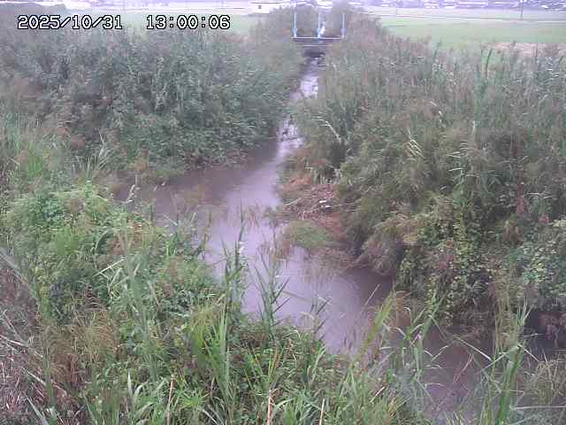 由良川42025/10/31 23:40