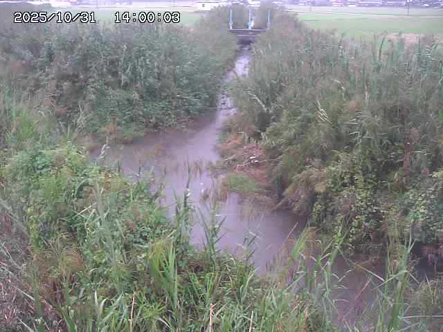 由良川42025/10/31 23:40