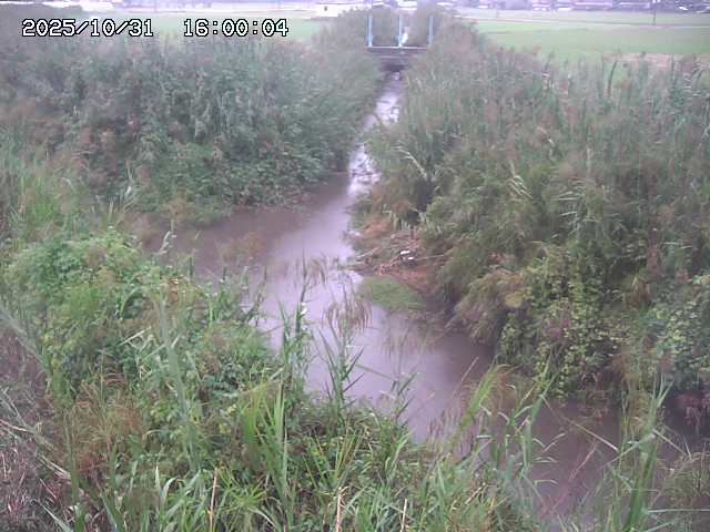 由良川42025/10/31 23:40