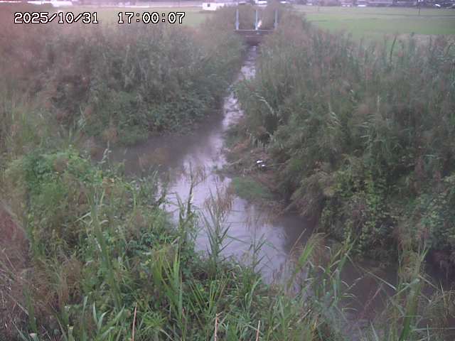 由良川42025/10/31 23:40