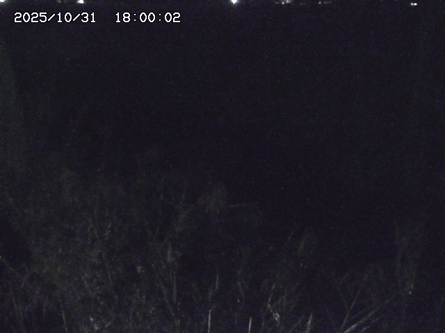 由良川42025/10/31 23:40