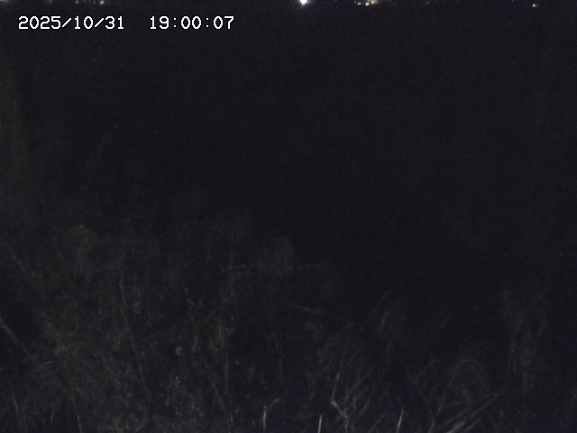 由良川42025/10/31 23:40