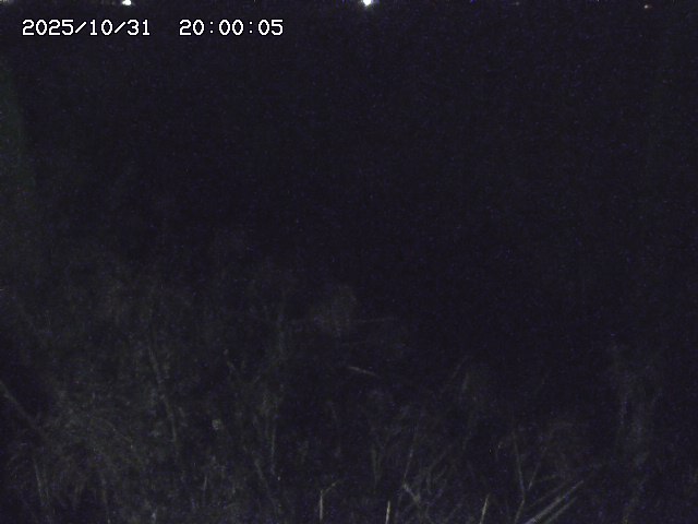 由良川42025/10/31 23:40