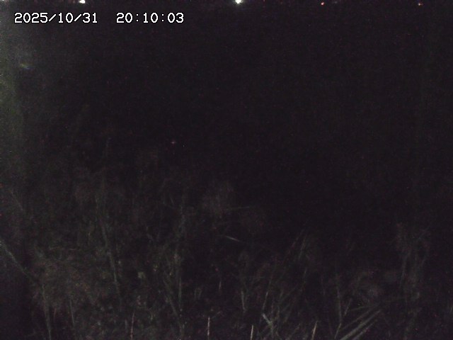 由良川42025/10/31 23:40