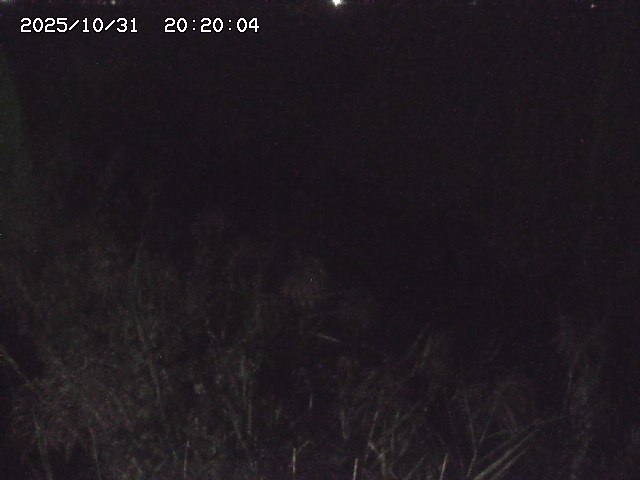 由良川42025/10/31 23:40