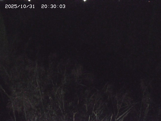 由良川42025/10/31 23:40