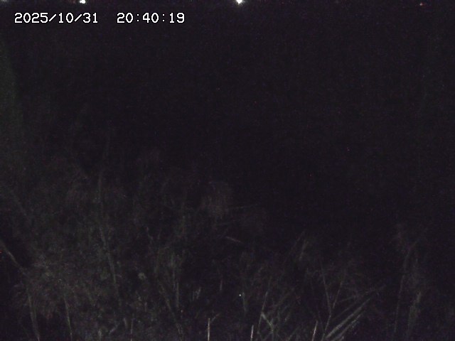 由良川42025/10/31 23:40