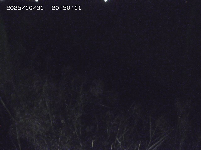 由良川42025/10/31 23:40