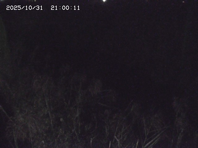 由良川42025/10/31 23:40