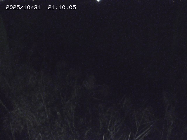 由良川42025/10/31 23:40