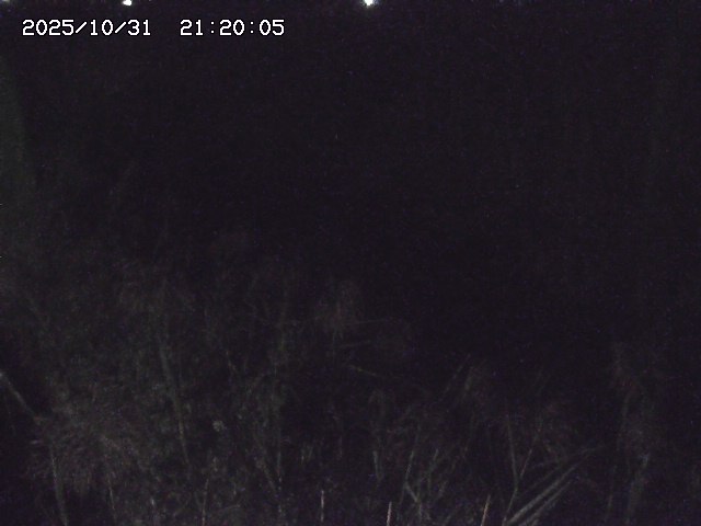 由良川42025/10/31 23:40