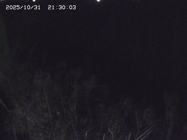 由良川42025/10/31 23:40