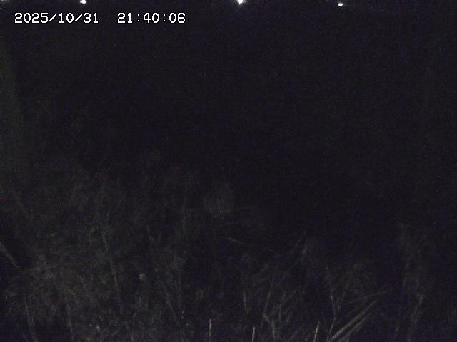 由良川42025/10/31 23:40