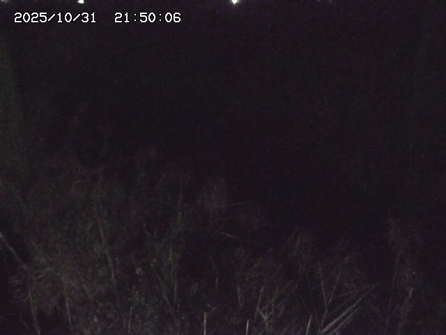 由良川42025/10/31 23:40