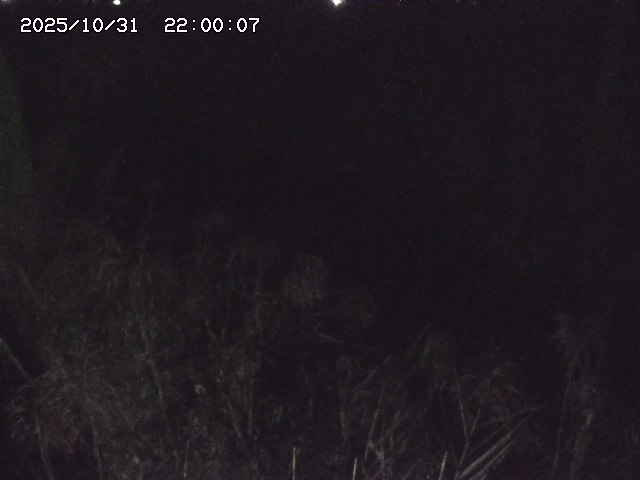 由良川42025/10/31 23:40