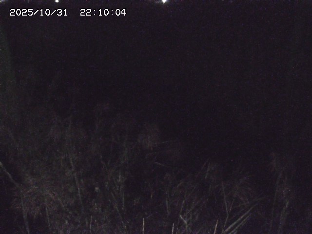 由良川42025/10/31 23:40