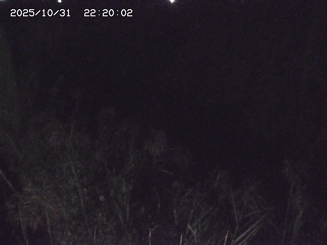 由良川42025/10/31 23:40