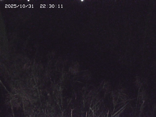 由良川42025/10/31 23:40