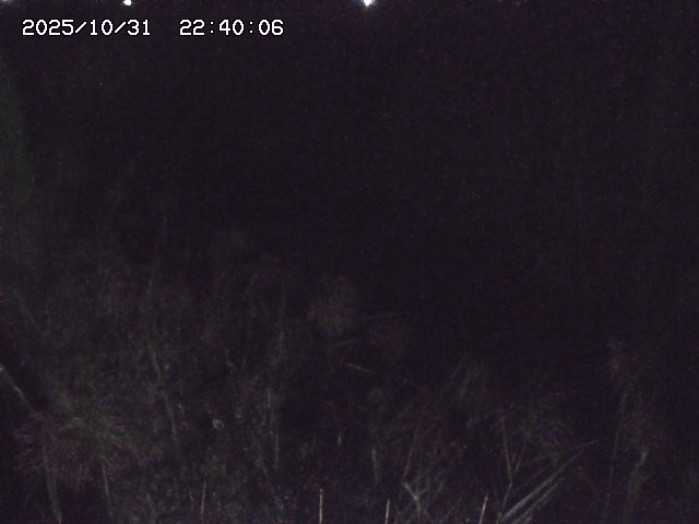 由良川42025/10/31 23:40