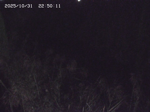 由良川42025/10/31 23:40