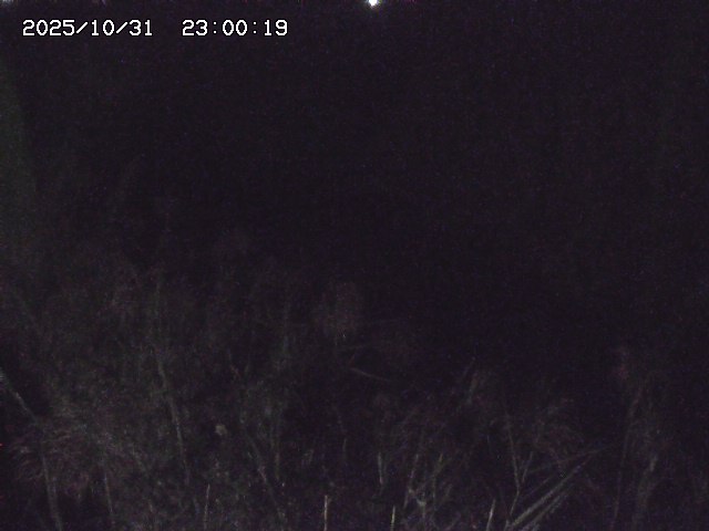 由良川42025/10/31 23:40