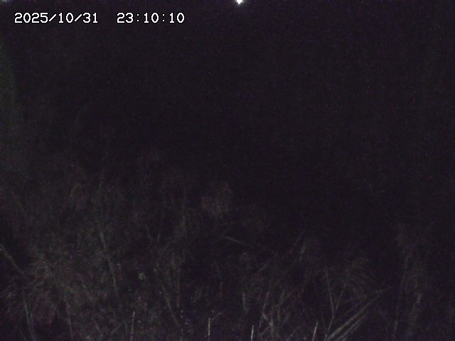 由良川42025/10/31 23:40