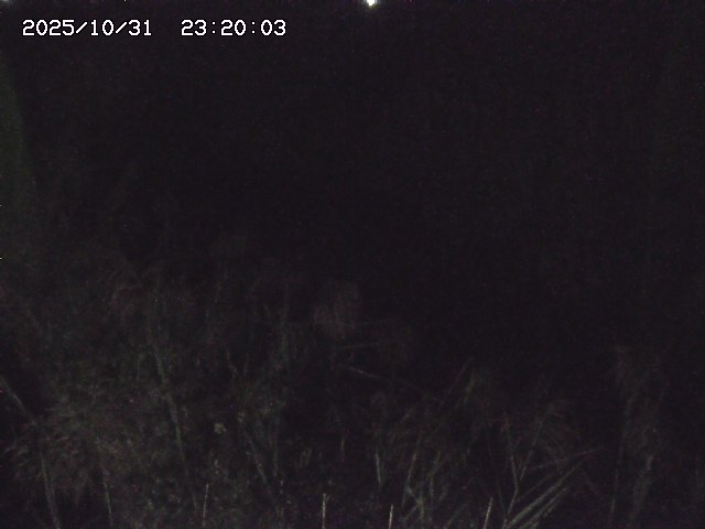 由良川42025/10/31 23:40