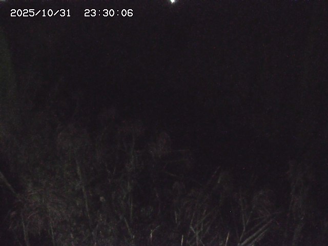 由良川42025/10/31 23:40