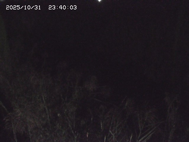 由良川42025/10/31 23:40